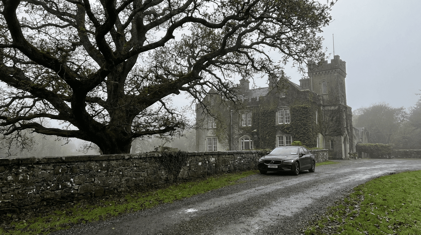 Contextual image: 2) The Story: Harriet, the “Ghost Girl,” and the King Oak