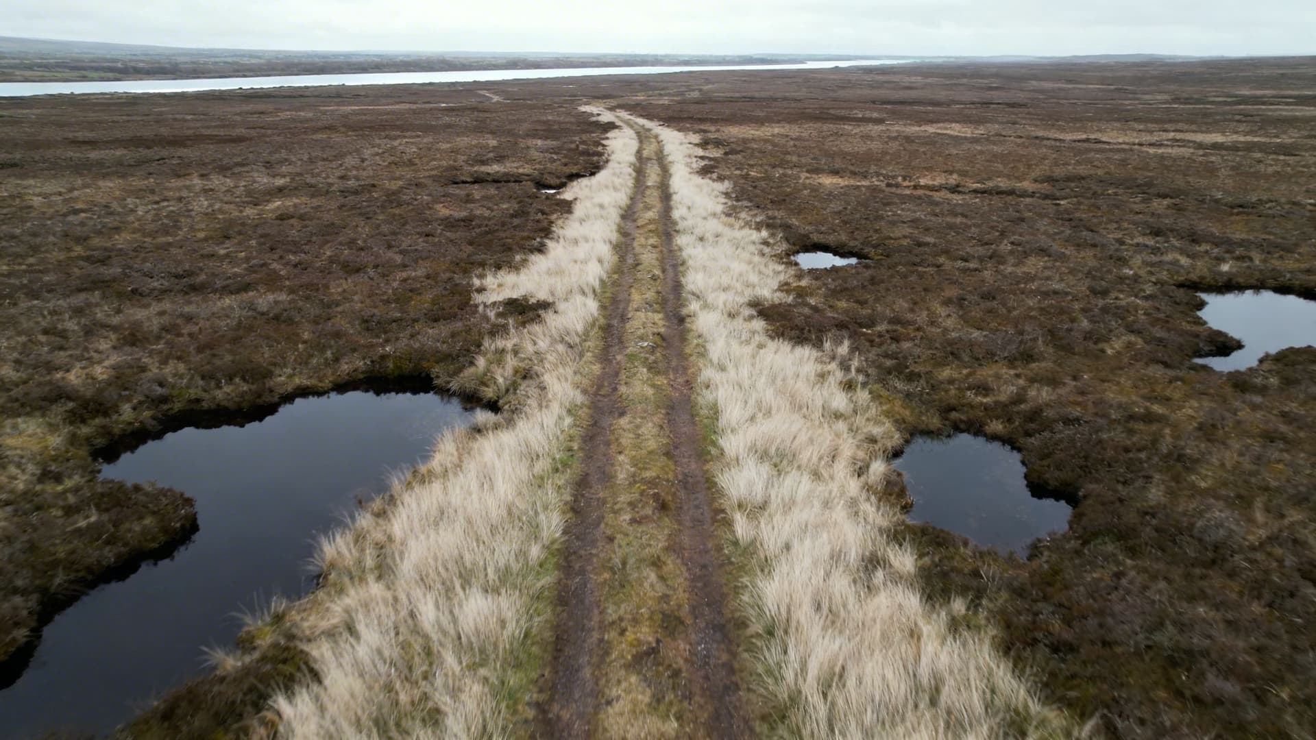 Unmarked bogland path in the County Longford midlands showing the landscape a local guide navigates
