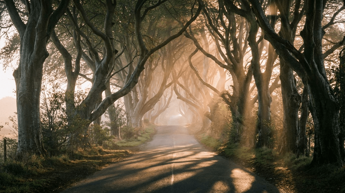 Dawn light breaking through the Dark Hedges tree tunnel with long shadows on the road, no people, ethereal atmosphere