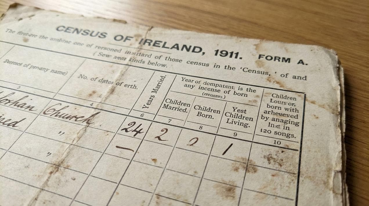 A handwritten 1911 Irish Census return showing family details.