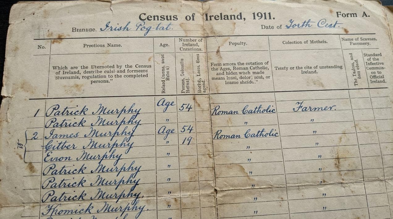 The handwritten 1911 Irish Census return form.