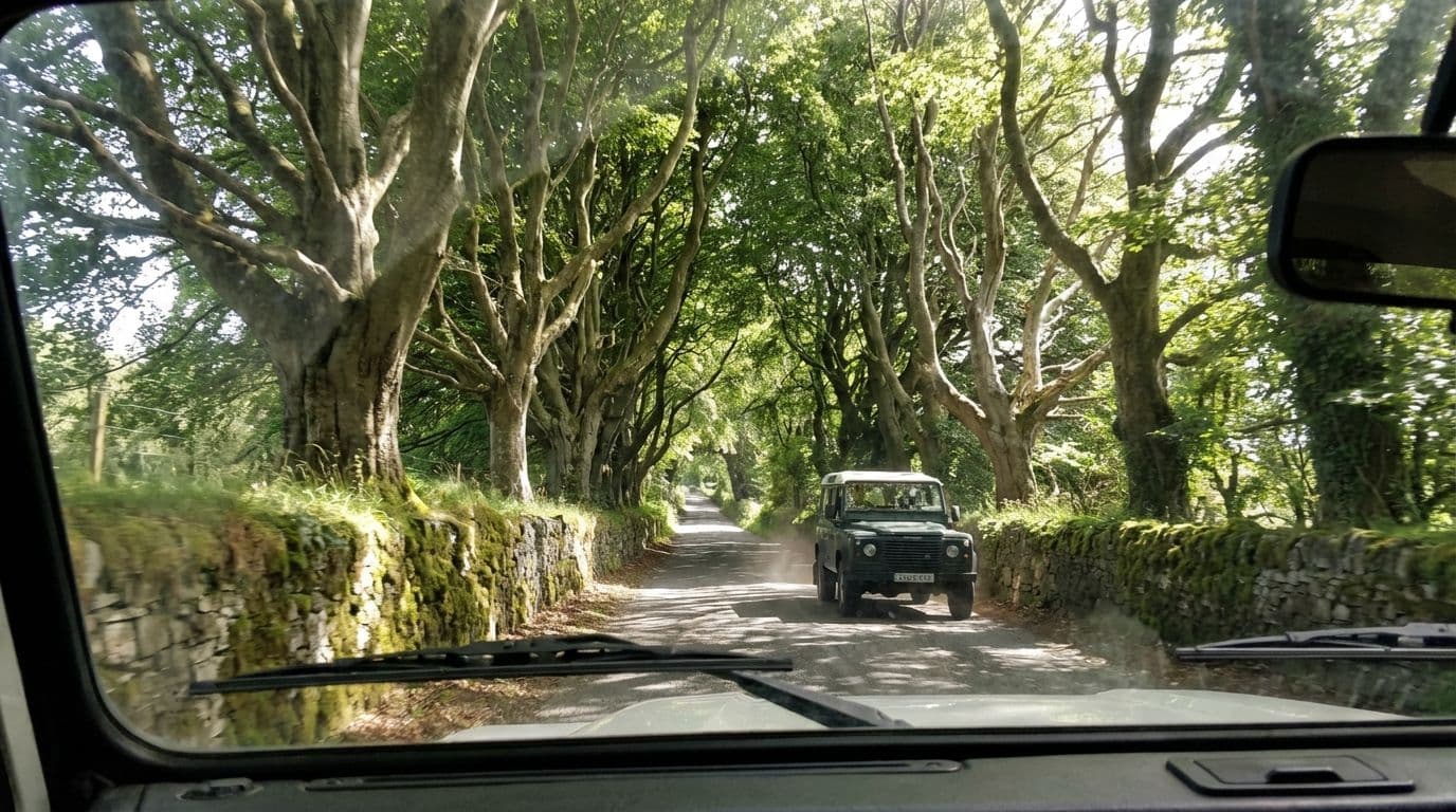 Navigating narrow rural roads in County Carlow.