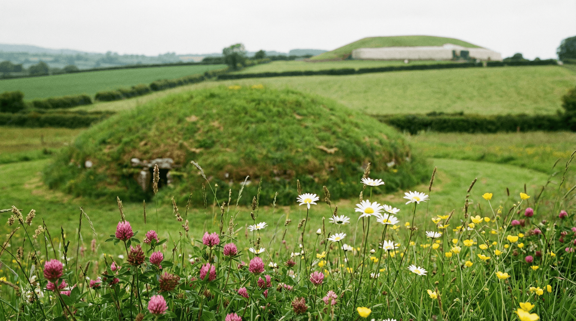 Satellite passage tomb mound covered in grass near the main Knowth monument in Boyne Valley