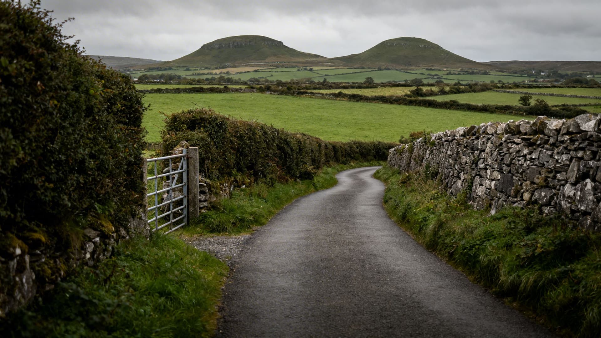 Narrow unmarked Irish country lane between high hedgerows and stone walls disappearing around a bend in rural County Cavan