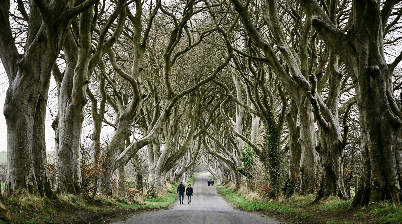 The Dark Hedges in Northern Ireland showing the tunnel of trees from Game of Thrones